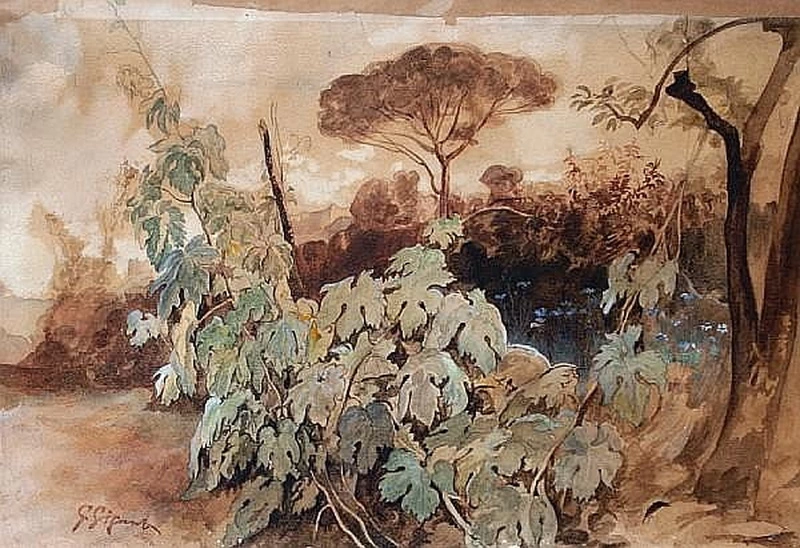Paesaggio con pino mediterraneo